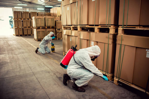 Best Affordable Pest Control Services  in Allendale, SC