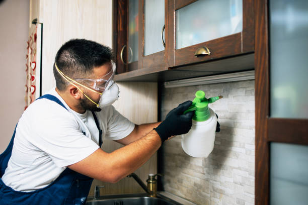 Best Wasp Removal Services  in Allendale, SC