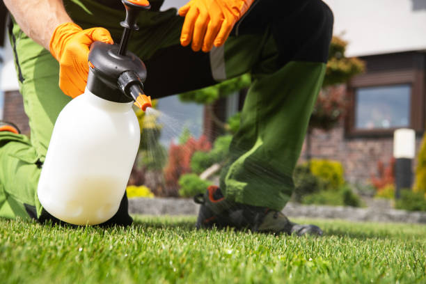 Best Commercial Pest Control Services  in Allendale, SC