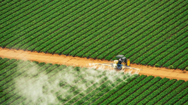 Best Pest Prevention Services  in Allendale, SC