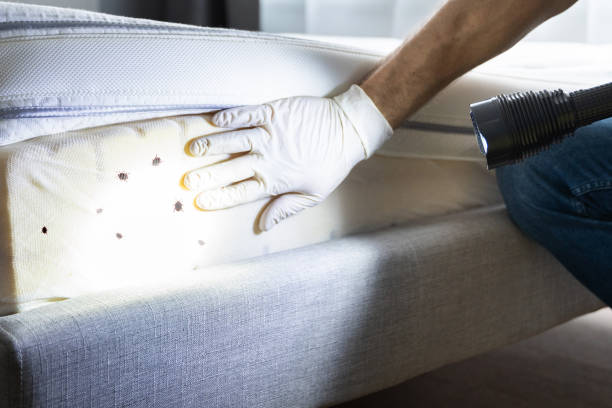 Pest Prevention Services in Allendale, SC
