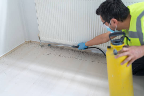 Best Pest Inspection Near Me  in Allendale, SC